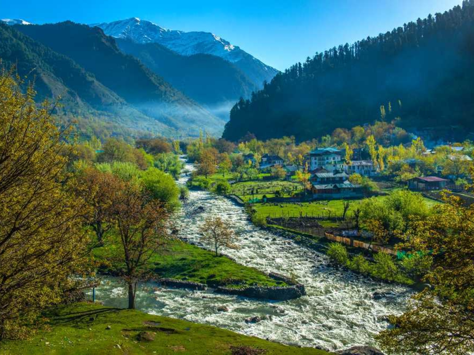 Day 04 : In Gulmarg