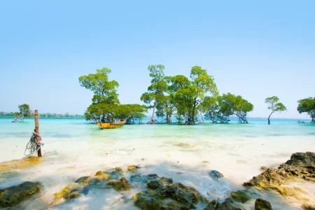 Andaman 4 Nights 5 Days Package